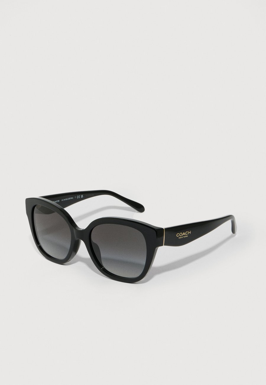 Солнцезащитные очки COACH Sunglasses, Black/Grey/Black
Солнцезащитные очки COACH Sunglasses, Black/Grey/Black