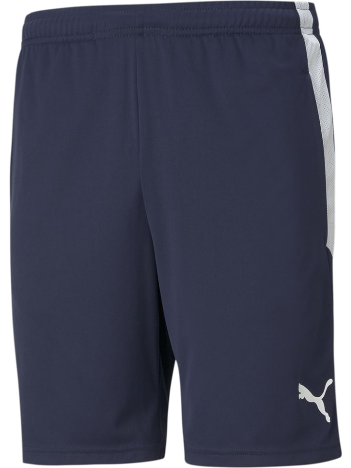 Puma Спортивные шорты “TeamLIGA Training Shorts” синего цвета
Puma Спортивные шорты “TeamLIGA Training Shorts” синего цвета