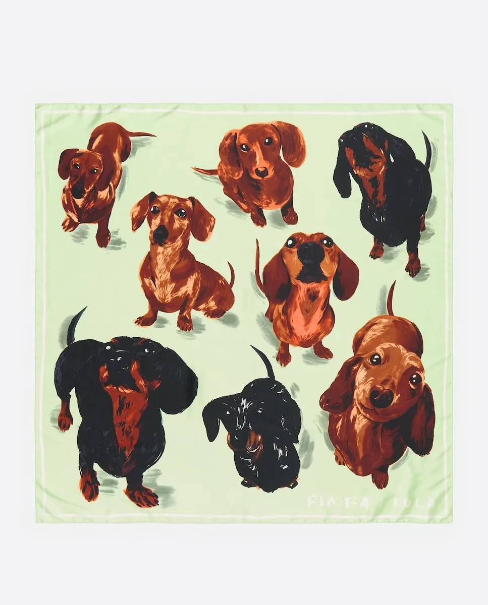 Платок с принтом собак Bimba Y Lola, зеленый
Платок с принтом собак Bimba Y Lola, зеленый