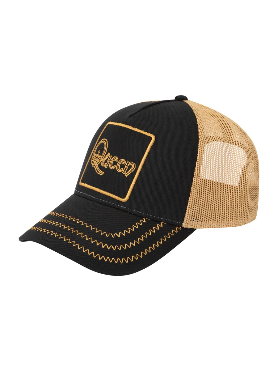 Бейсболка AMPLIFIED Queen, черный
Бейсболка AMPLIFIED Queen, черный