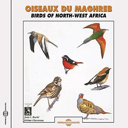 CD диск Roche, Jean Claude / Chevereau, Jerome: Birds of Northwest Africa
CD диск Roche, Jean Claude / Chevereau, Jerome: Birds of Northwest Africa