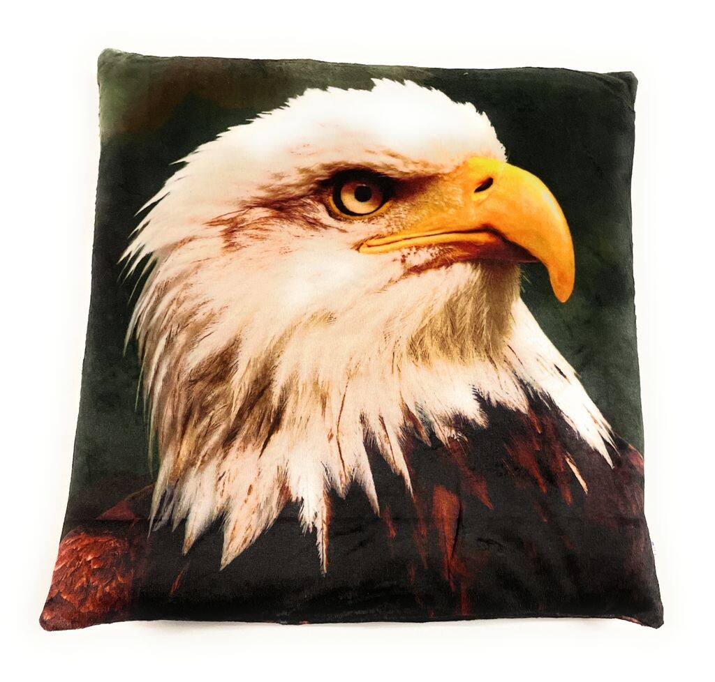 On Womania Bald Eagle Eagle Bird Плюшевая подушка для дивана или кровати в качестве украшения или приятная подушка 35 x 35 см Onwomania
On Womania Bald Eagle Eagle Bird Плюшевая подушка для дивана или кровати в качестве украшения или приятная подушка 35 x 35 см Onwomania