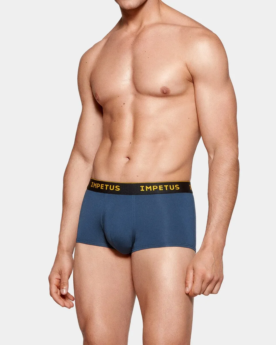 Мужские трикотажные боксерские шорты из полиамида Impetus, синий
Мужские трикотажные боксерские шорты из полиамида Impetus, синий