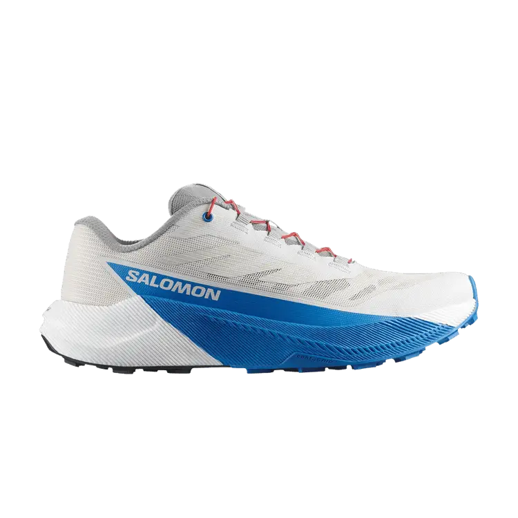 Кроссовки Salomon Pulsar, Lunar Rock French Blue
Кроссовки Salomon Pulsar, Lunar Rock French Blue
