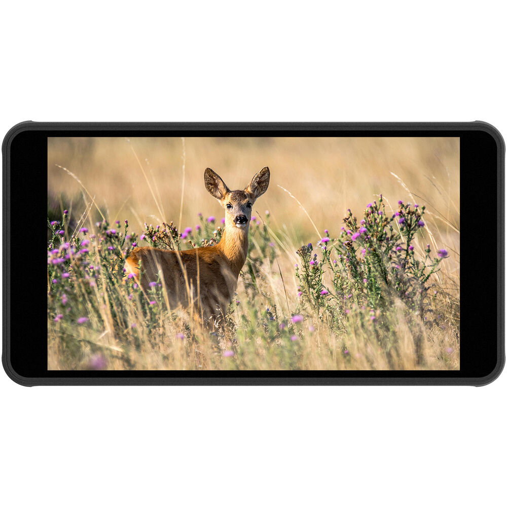 Монитор для камер PORTKEYS PT5 II 5" 4K HDMI Touchscreen Monitor with 3D LUT PT5
Монитор для камер PORTKEYS PT5 II 5" 4K HDMI Touchscreen Monitor with 3D LUT PT5