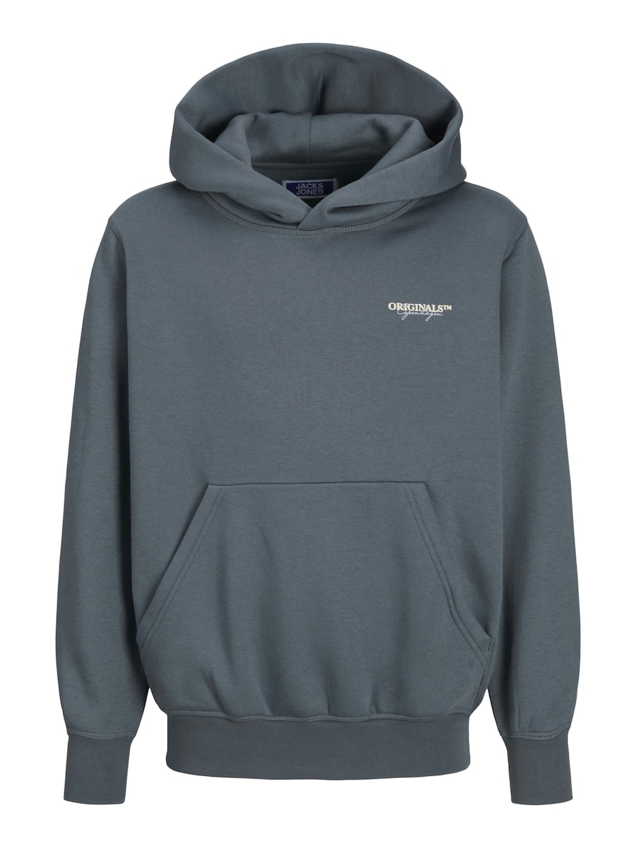 Толстовка Jack & Jones Junior JORIslington, серый
Толстовка Jack & Jones Junior JORIslington, серый