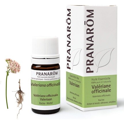 Pranarôm Эфирное масло валерианы лекарственное 5 мл
Pranarôm Эфирное масло валерианы лекарственное 5 мл