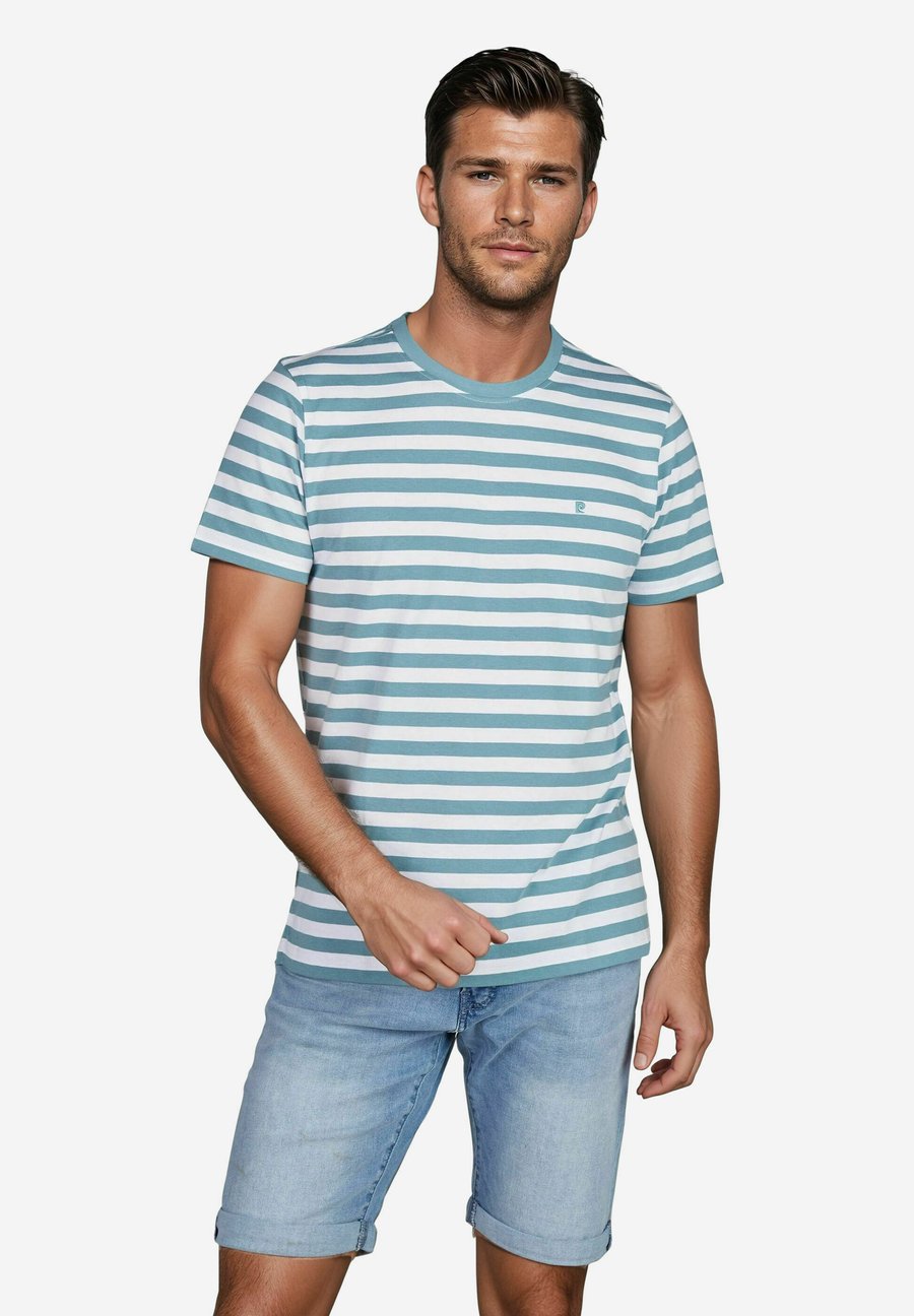 Футболка Pierre Cardin Print T-shirt, Turkis/Turquoise
Футболка Pierre Cardin Print T-shirt, Turkis/Turquoise