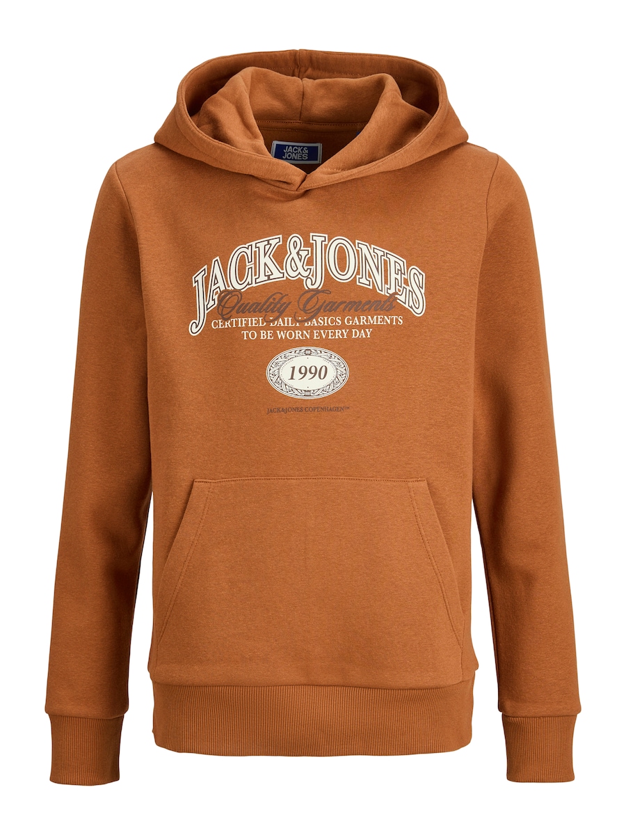 Толстовка Jack & Jones Junior JJARI, Chocolate/Cognac
Толстовка Jack & Jones Junior JJARI, Chocolate/Cognac
