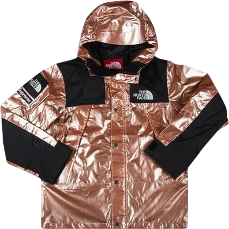 Парка Supreme x The North Face Metallic Mountain Parka 'Rose', розовый
Парка Supreme x The North Face Metallic Mountain Parka 'Rose', розовый