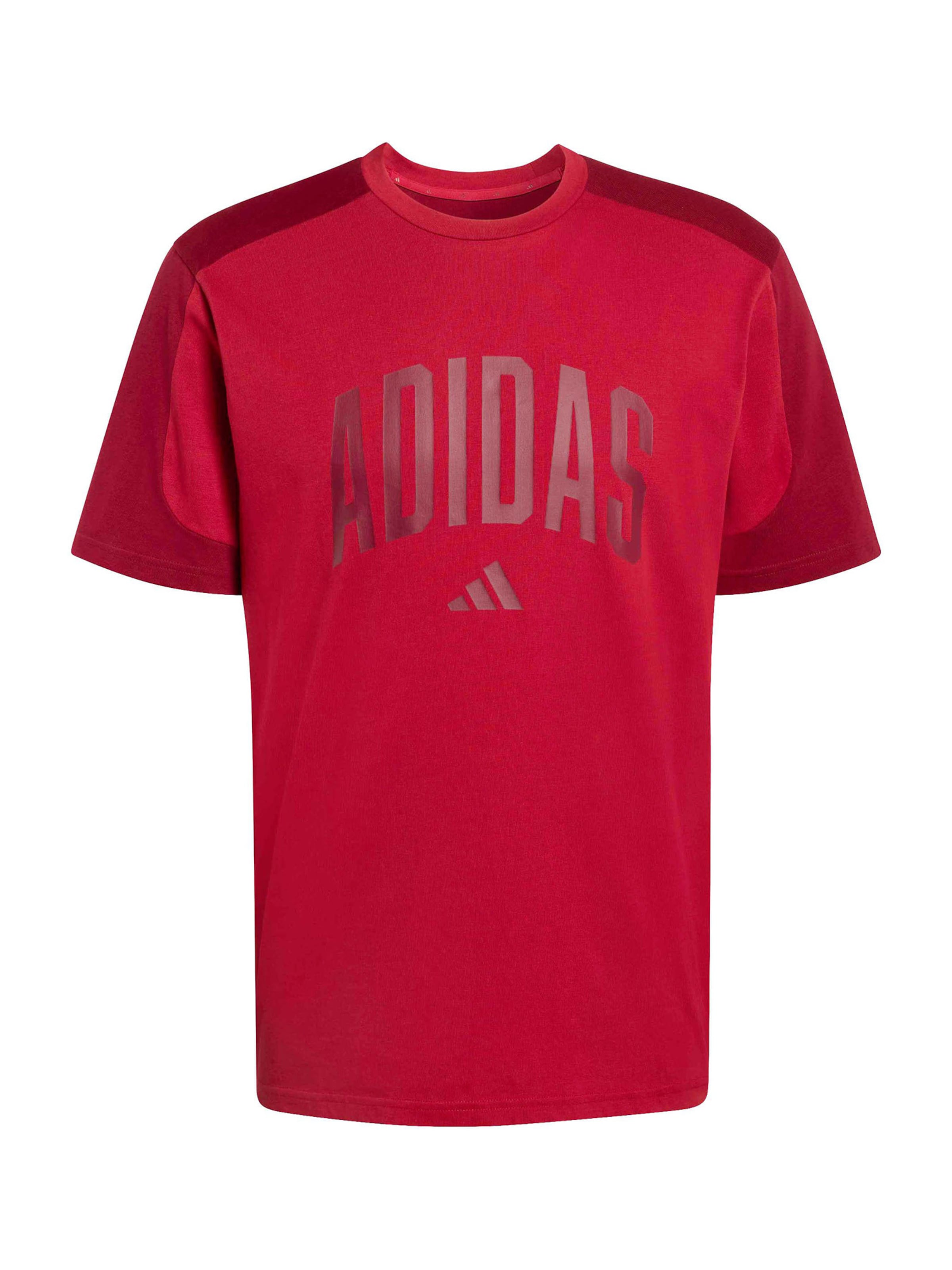 Adidas Sportswear Футболка для тренировок 'COLLEGIATE' в красном цвете, Blood Red
Adidas Sportswear Футболка для тренировок 'COLLEGIATE' в красном цвете, Blood Red