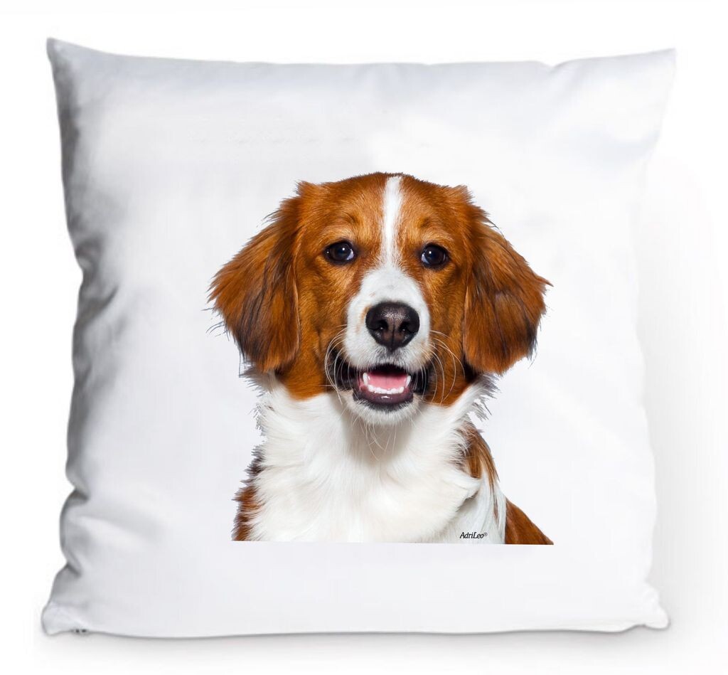 Чехол на подушку 40х40см - Kooiker- Nederlandse Чехол на подушку для собаки Kooikerhondje AdriLeo
Чехол на подушку 40х40см - Kooiker- Nederlandse Чехол на подушку для собаки Kooikerhondje AdriLeo