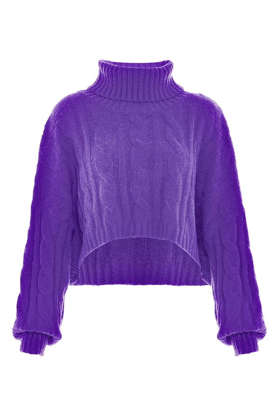 Водолазка MYMO Sweater, фиолетовый
Водолазка MYMO Sweater, фиолетовый