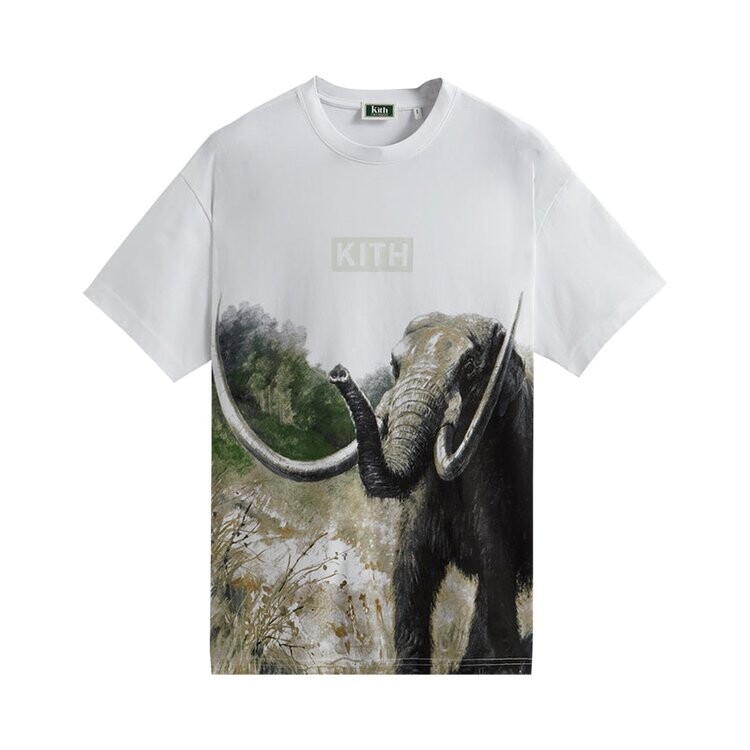 Футболка Kith For AMNH Late Mammals Vintage Tee 'White', белый
Футболка Kith For AMNH Late Mammals Vintage Tee 'White', белый