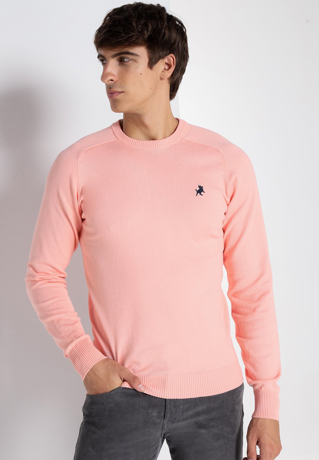 Джемпер LOIS Jeans, розовый
Джемпер LOIS Jeans, розовый