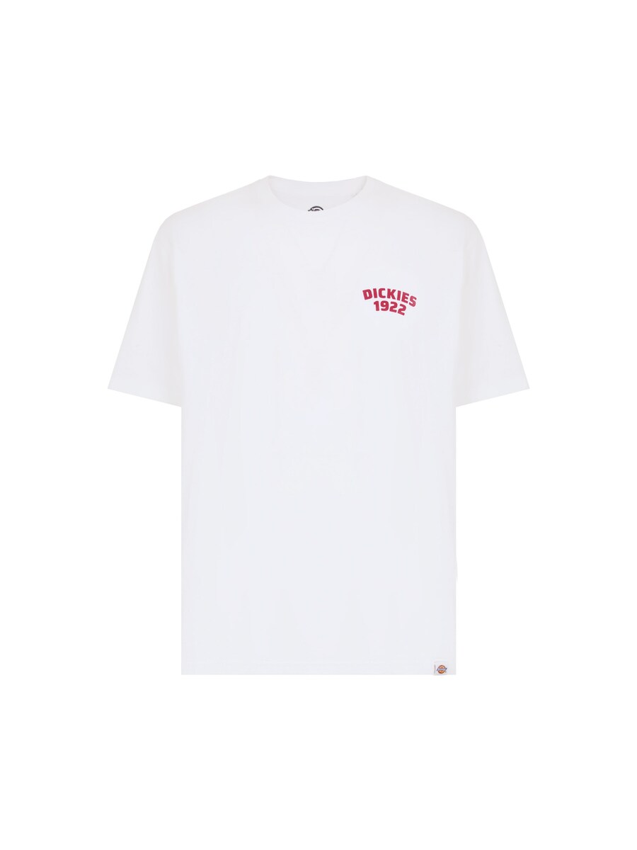 Рубашка DICKIES Mechanic, белый
Рубашка DICKIES Mechanic, белый