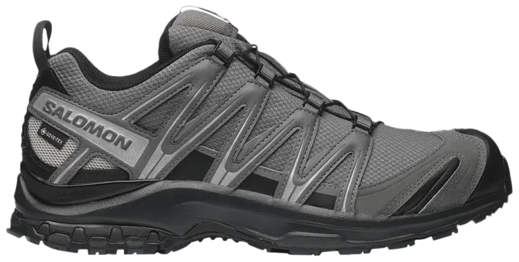 Кроссовки Salomon XA Pro 3D GORE-TEX 'Pewter Silver Cloud', серый
Кроссовки Salomon XA Pro 3D GORE-TEX 'Pewter Silver Cloud', серый