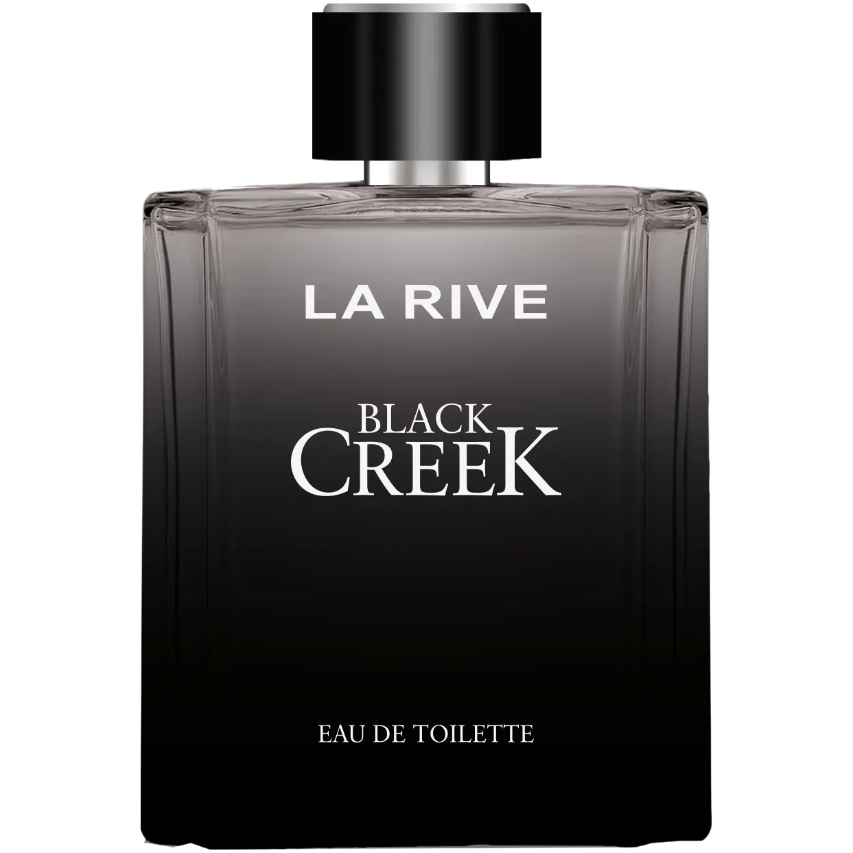 La Rive Black Creek туалетная вода для мужчин, 100 мл
La Rive Black Creek туалетная вода для мужчин, 100 мл