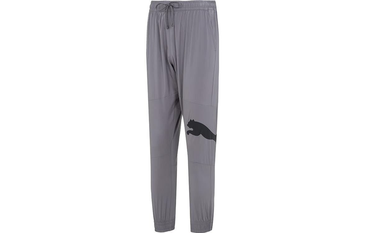 PTC Knit спортивные штаны мужские серые Puma, серый
PTC Knit спортивные штаны мужские серые Puma, серый