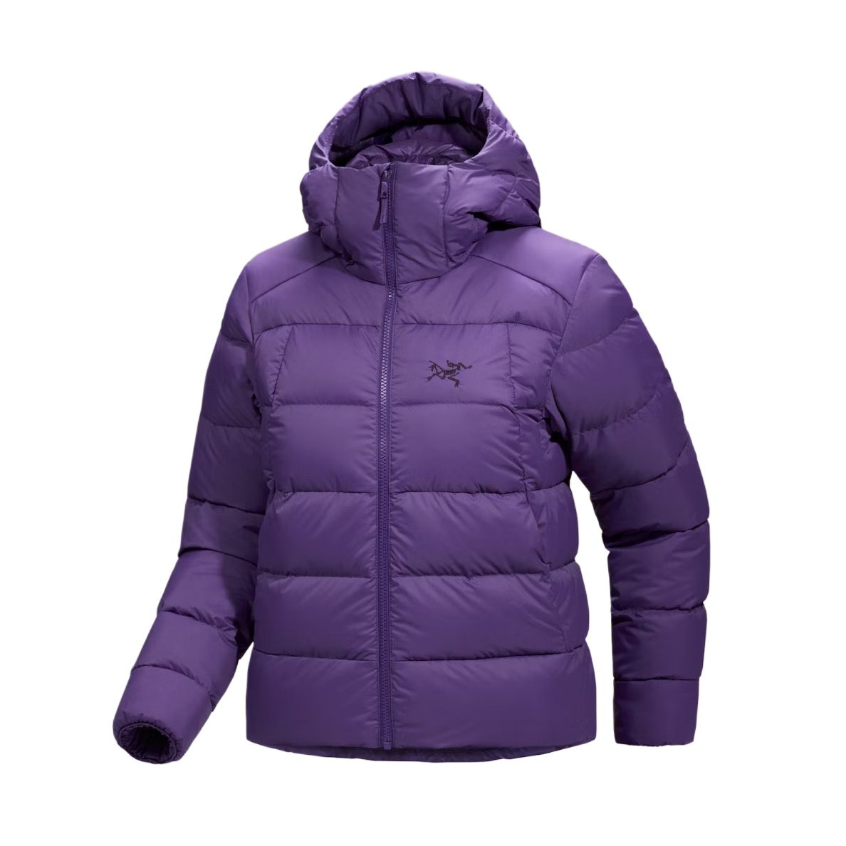 THORIUM Down Jacket Women's Arcteryx, rock gap фиолетовый/azalea
THORIUM Down Jacket Women's Arcteryx, rock gap фиолетовый/azalea