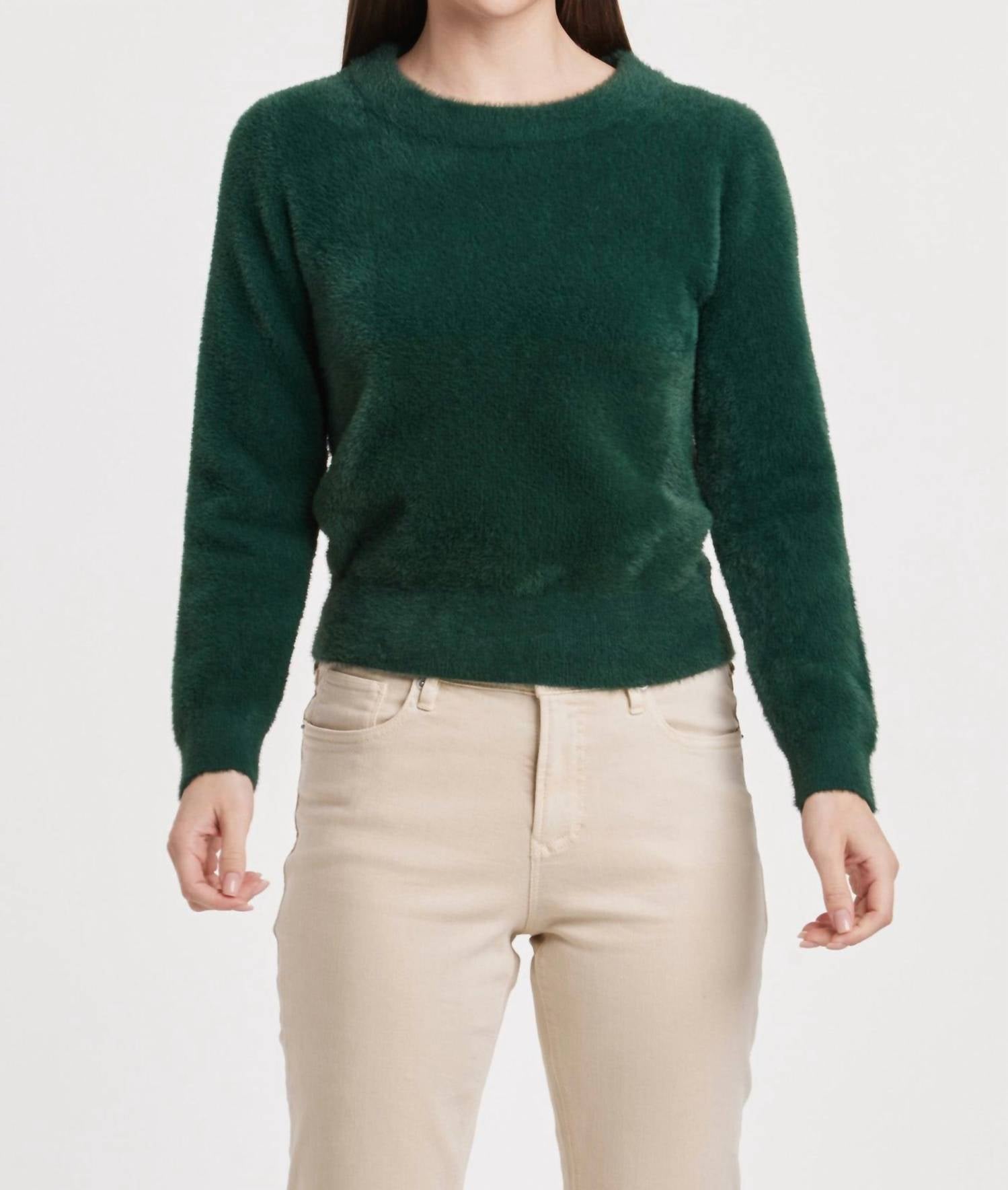 Effy Fuzzy Длинный рукав Круглый вырез Свитер Clover в зеленом цвете Another Love
Effy Fuzzy Длинный рукав Круглый вырез Свитер Clover в зеленом цвете Another Love