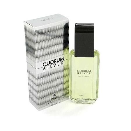 Туалетная вода, 100 мл Antonio Puig, Quorum Silver
Туалетная вода, 100 мл Antonio Puig, Quorum Silver