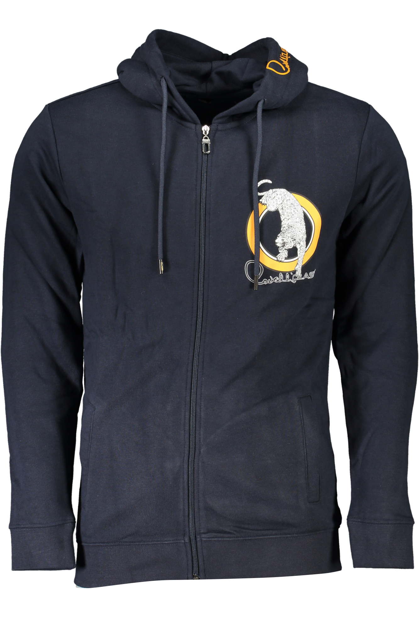 Толстовка мужская Cavalli Class на молнии, синий
Толстовка мужская Cavalli Class на молнии, синий