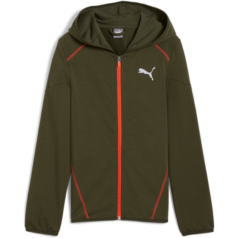 Толстовка Kapuzensweat Active Sports с капюшоном на молнии Puma, зеленый
Толстовка Kapuzensweat Active Sports с капюшоном на молнии Puma, зеленый