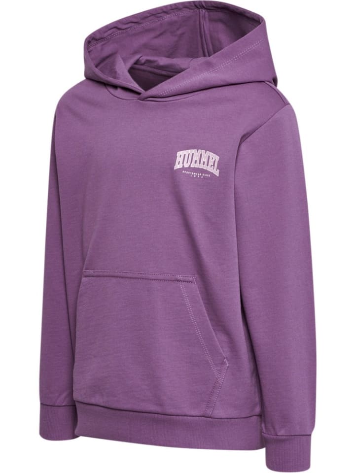 Детская толстовка с капюшоном фиолетового цвета Hummel
Детская толстовка с капюшоном фиолетового цвета Hummel