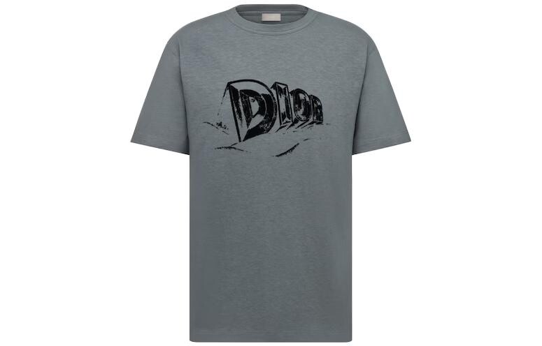 Футболка мужская серая Dior, серый
Футболка мужская серая Dior, серый