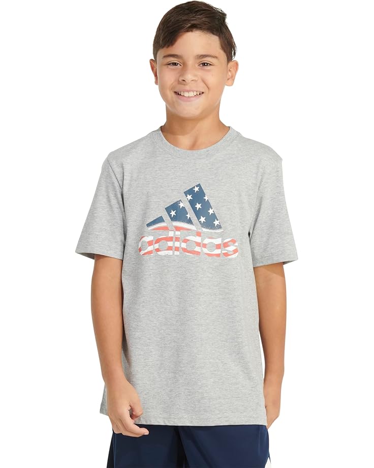 Футболка adidas Kids SS USA Hthr Tee 24(Toddler/Little Kid/Big Kid), цвет Gray Heather
Футболка adidas Kids SS USA Hthr Tee 24(Toddler/Little Kid/Big Kid), цвет Gray Heather