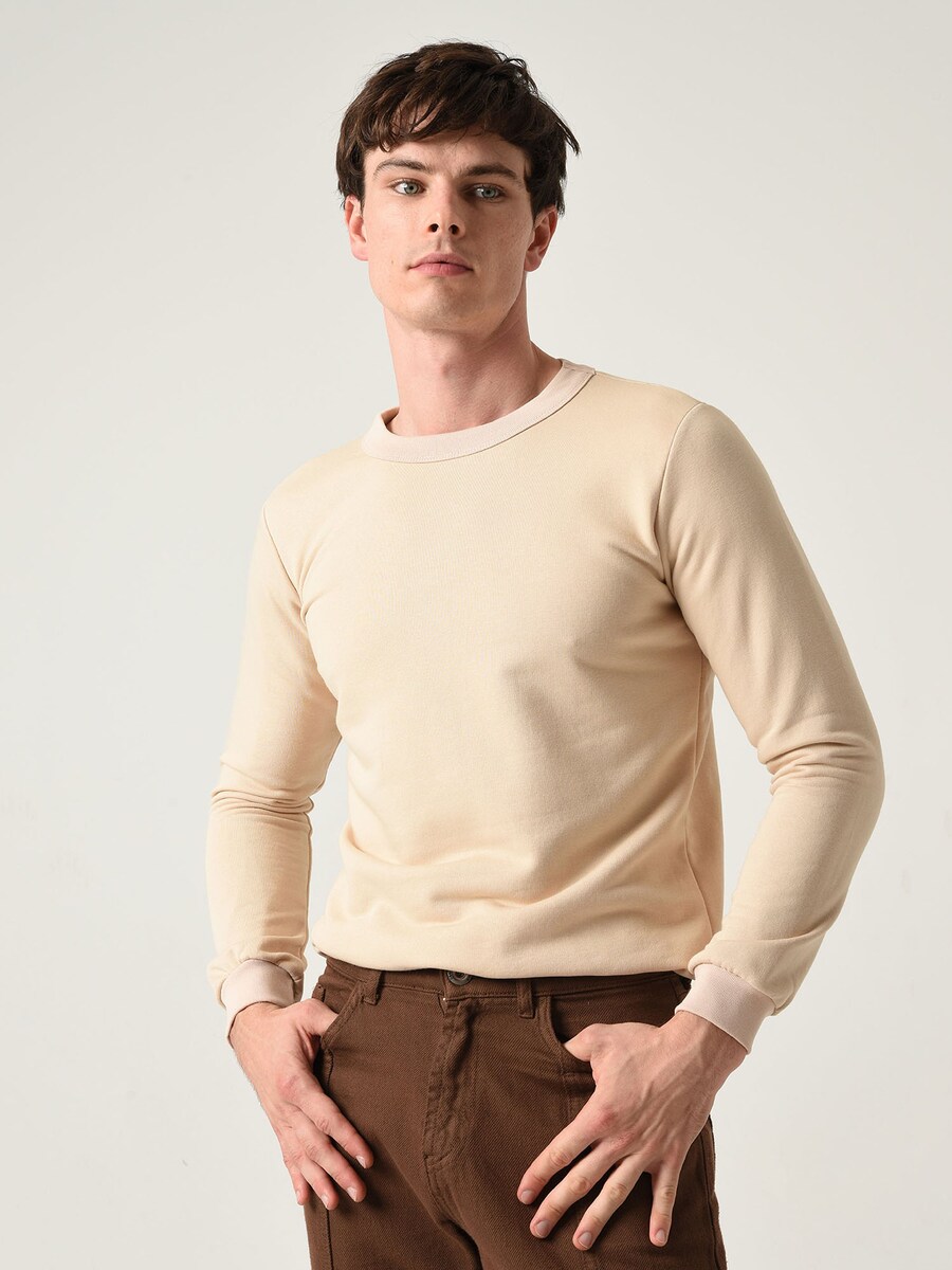 Толстовка Antioch, бежевый
Толстовка Antioch, бежевый