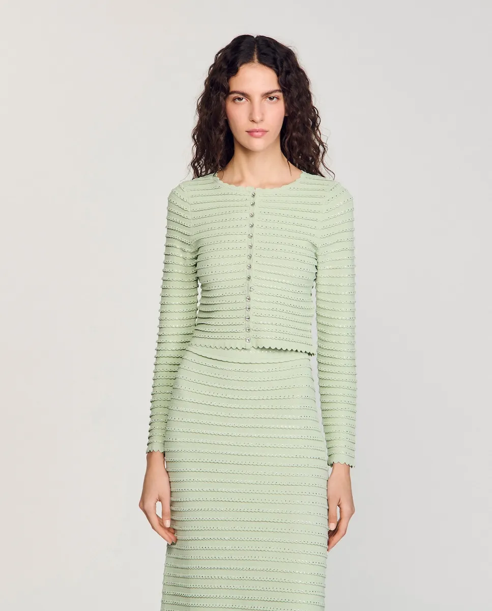 Женский кардиган со стразами и фестончатой отделкой Sandro, светло-зеленый
Женский кардиган со стразами и фестончатой отделкой Sandro, светло-зеленый