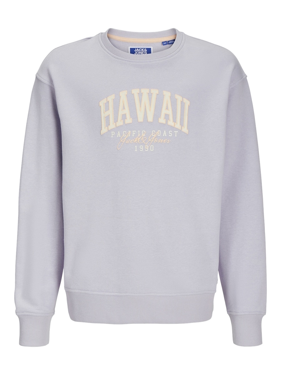 Толстовка Jack & Jones Junior Detroit, фиолетовый
Толстовка Jack & Jones Junior Detroit, фиолетовый