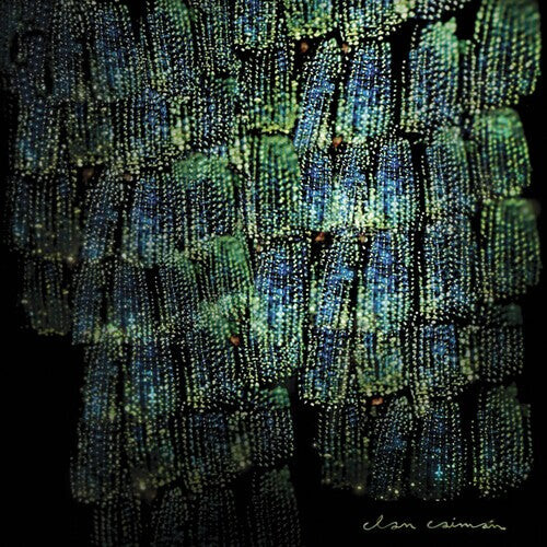 Виниловая пластинка Clan Caiman: Asoma 
Виниловая пластинка Clan Caiman: Asoma