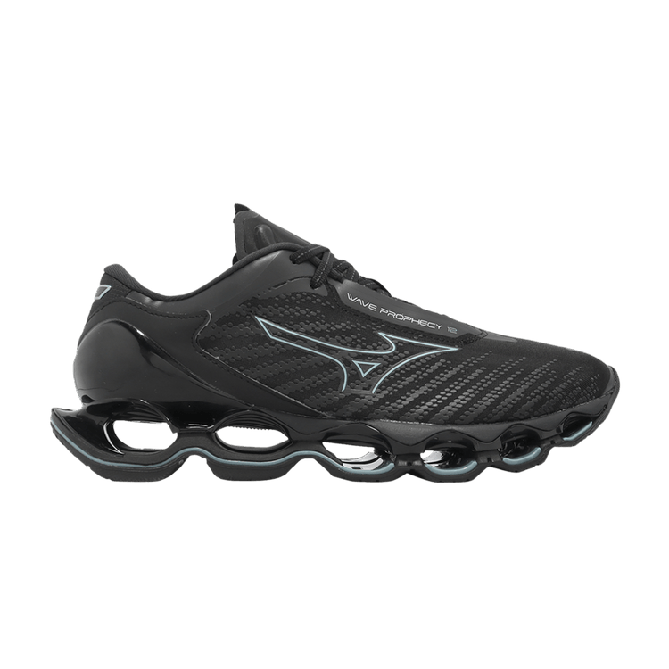 Кроссовки Mizuno Wave Prophecy 12 'Black Blue', черный
Кроссовки Mizuno Wave Prophecy 12 'Black Blue', черный