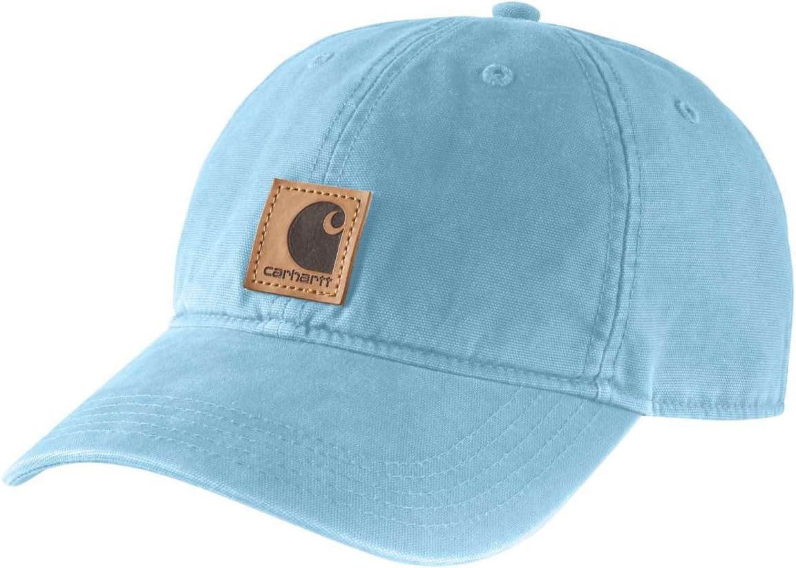 Carhartt мужская кепка Canvas Closeout, Powder Blue
Carhartt мужская кепка Canvas Closeout, Powder Blue