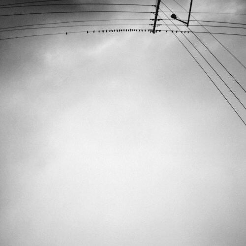 CD диск Armand, Margjeka: Hummingbird
CD диск Armand, Margjeka: Hummingbird