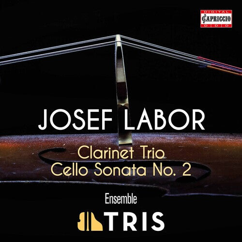 CD диск Labor / Wachsenegger / Ensemble Tris: Clarinet Trio / Cello Sonata
CD диск Labor / Wachsenegger / Ensemble Tris: Clarinet Trio / Cello Sonata