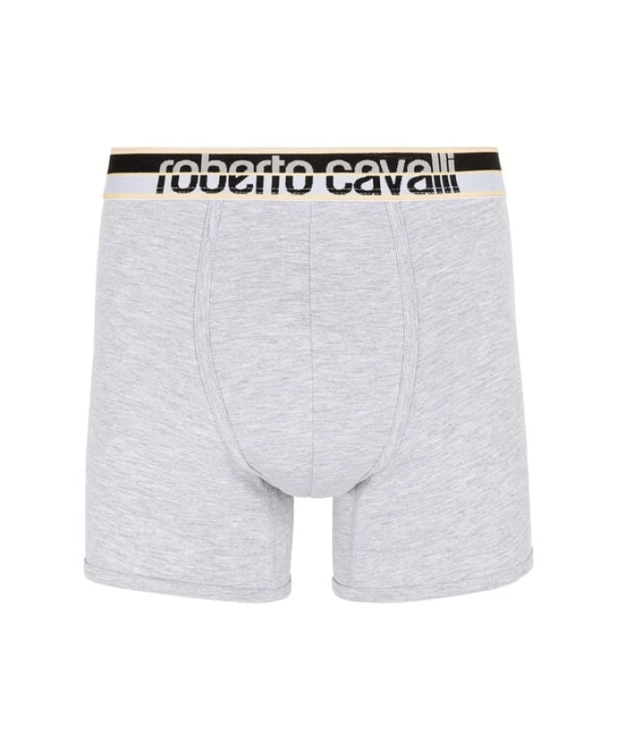 Боксерские трусы с логотипом Roberto Cavalli, серый
Боксерские трусы с логотипом Roberto Cavalli, серый