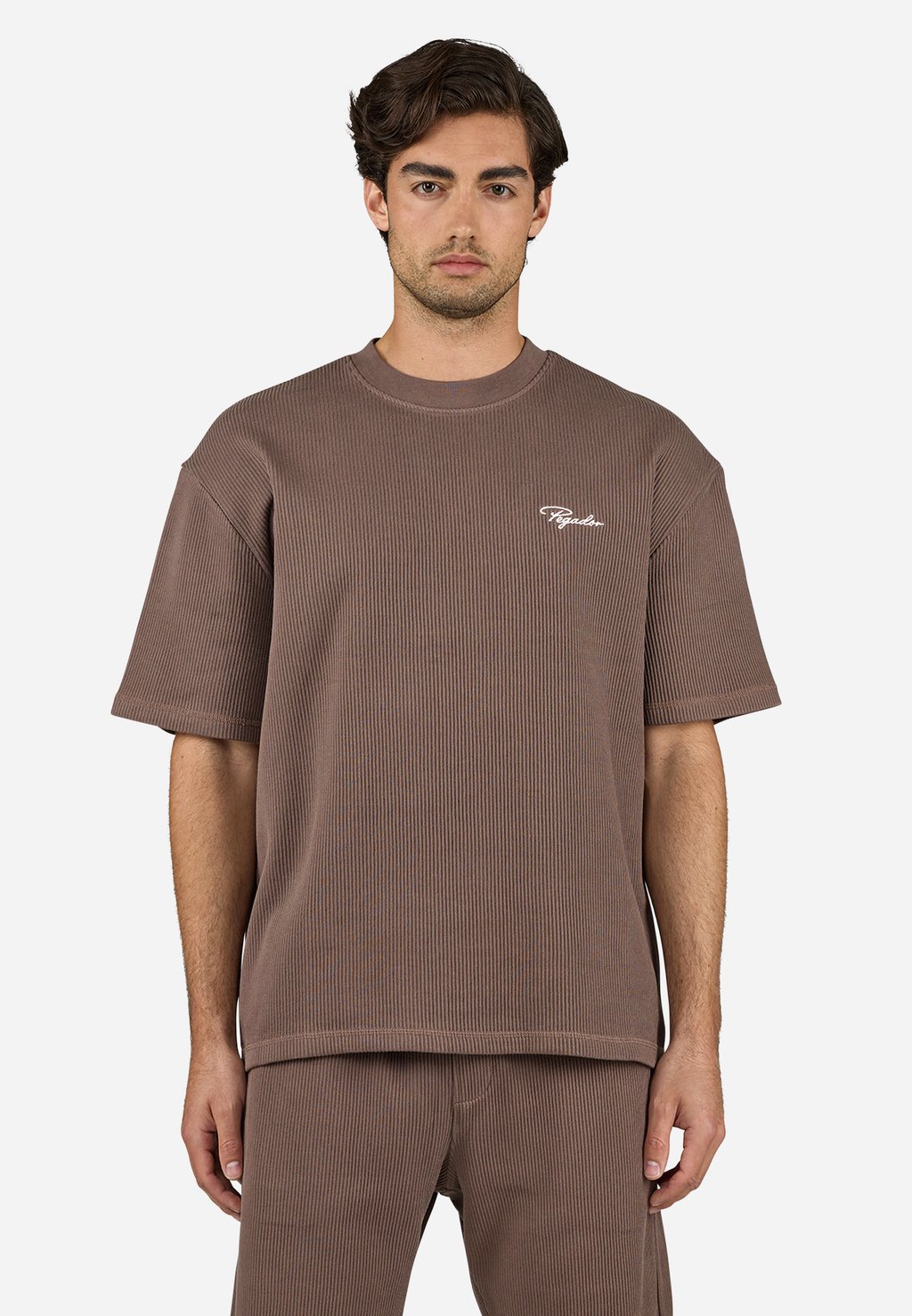 Базовая футболка SIGNAR TEE Pegador, коричневый
Базовая футболка SIGNAR TEE Pegador, коричневый