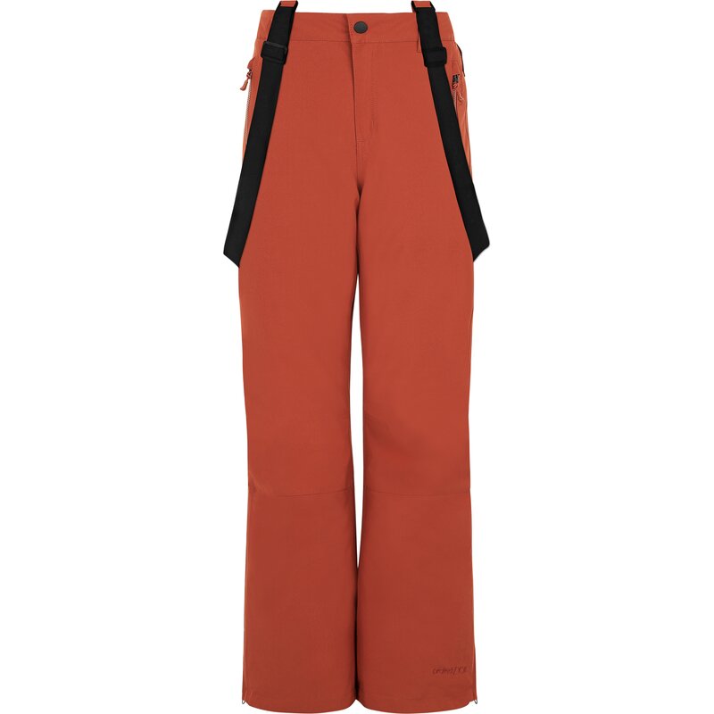 Зимние штаны Sunny Jr Protest, оранжевый
Зимние штаны Sunny Jr Protest, оранжевый