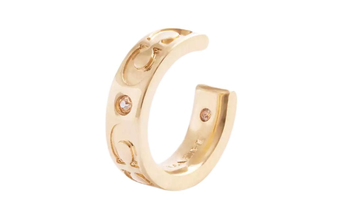 COACH Латунные позолоченные клипсы со стеклом и кубическим цирконием, цвет Gold
COACH Латунные позолоченные клипсы со стеклом и кубическим цирконием, цвет Gold