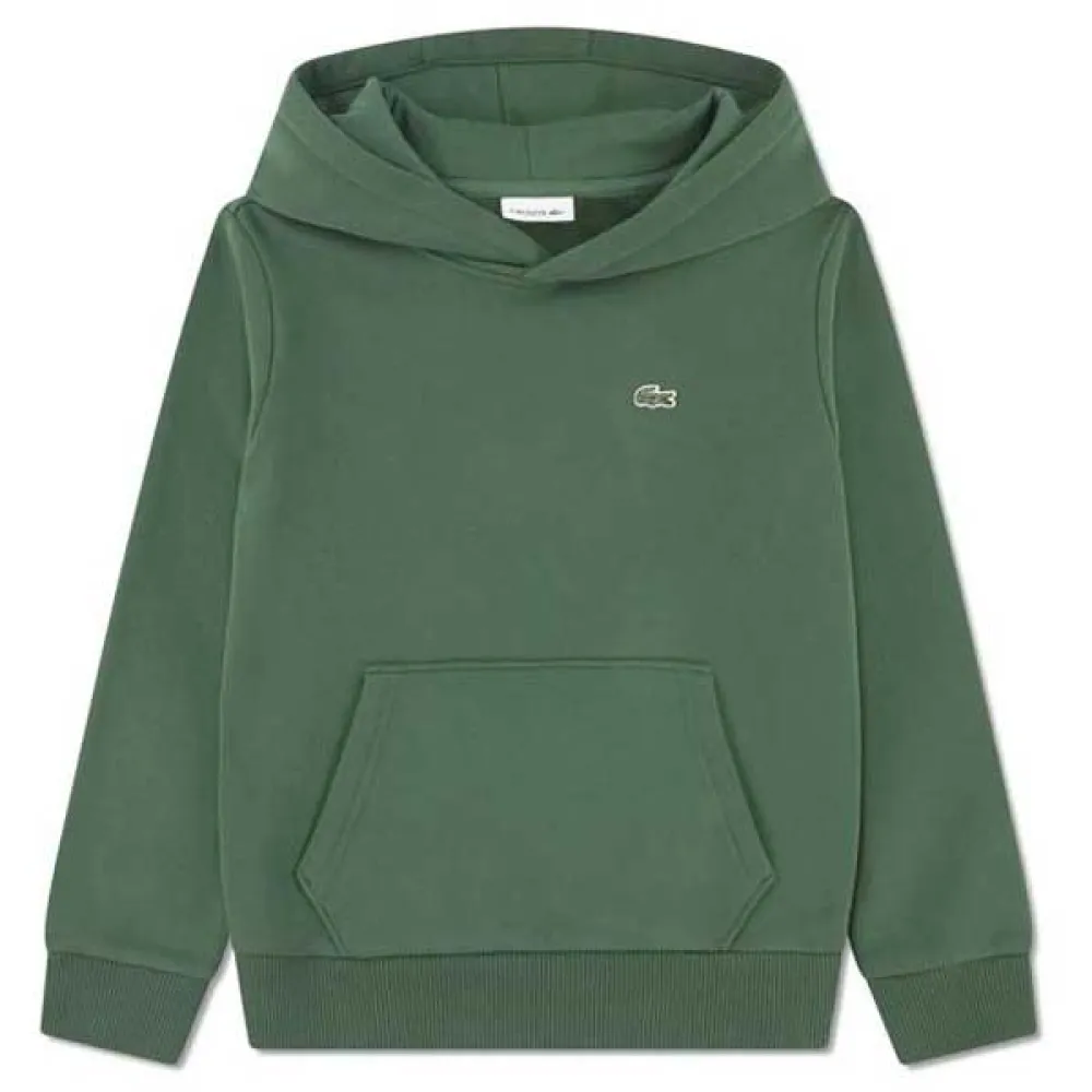 Худи Lacoste Kids Core Fleece Pullover, зеленый
Худи Lacoste Kids Core Fleece Pullover, зеленый