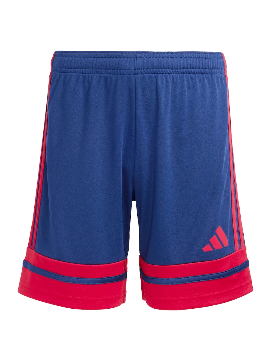 Обычные спортивные штаны ADIDAS PERFORMANCE Squadra 25, темно-синий
Обычные спортивные штаны ADIDAS PERFORMANCE Squadra 25, темно-синий