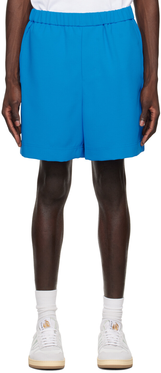 Синие шорты с вышивкой Wooyoungmi
Синие шорты с вышивкой Wooyoungmi