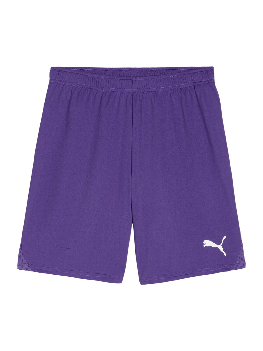 Обычные спортивные штаны PUMA TeamGoal, темно-фиолетовый
Обычные спортивные штаны PUMA TeamGoal, темно-фиолетовый