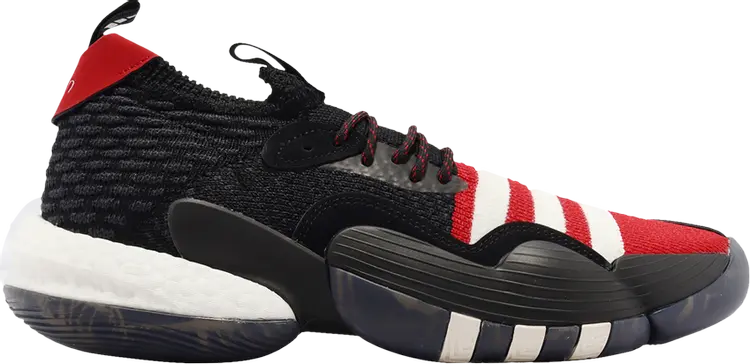 Кроссовки Adidas Trae Young 2, черный
Кроссовки Adidas Trae Young 2, черный