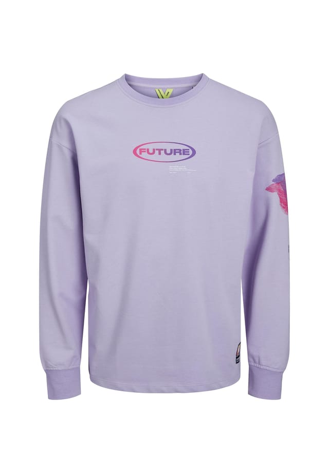 Свитшот цифровой пуловер без капюшона Jack & Jones, фиолетовый
Свитшот цифровой пуловер без капюшона Jack & Jones, фиолетовый