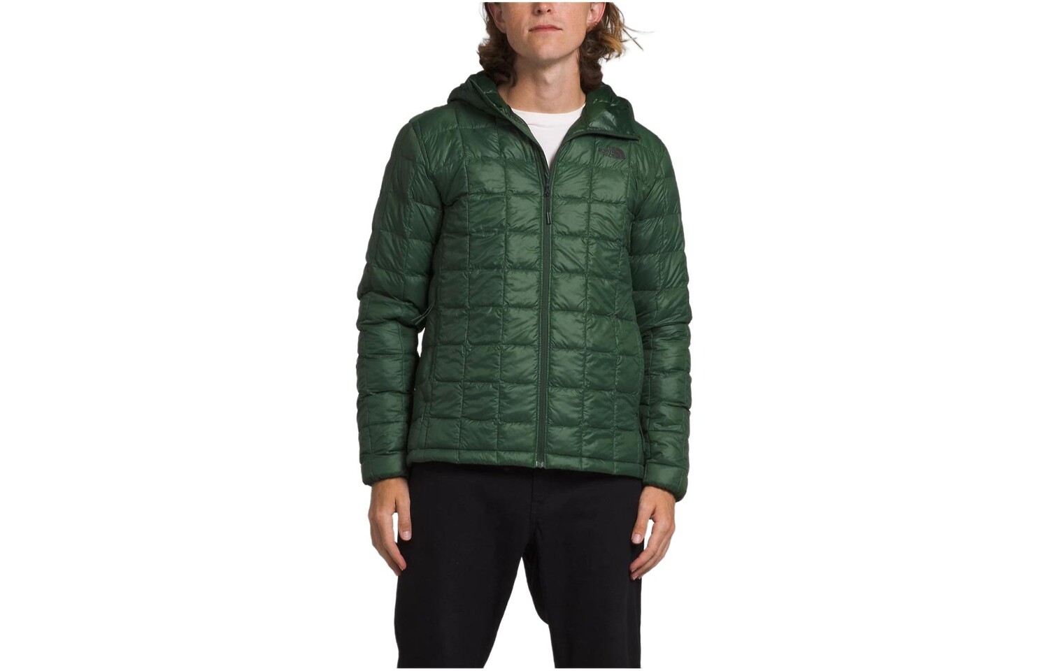 Коллекция одежды Куртка мужская зеленая The North Face, зеленый
Коллекция одежды Куртка мужская зеленая The North Face, зеленый